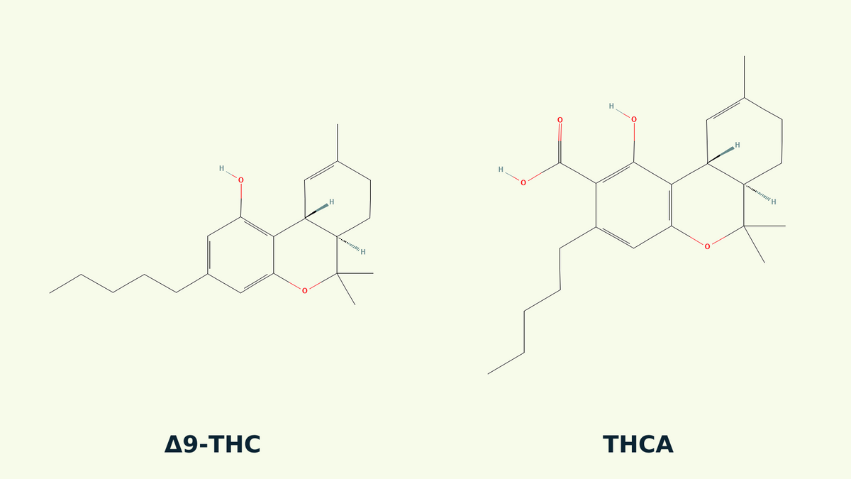 Estructuras químicas de Δ9-THC y THCA